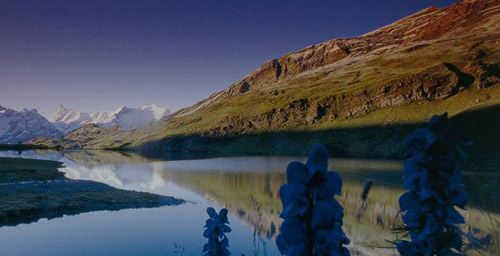 image brightness reduced image brightness reduced