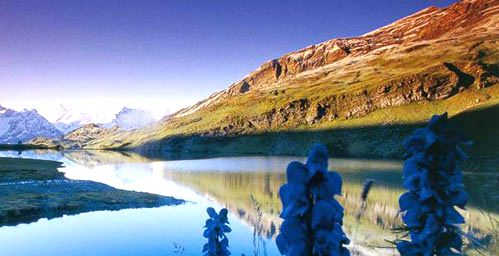 image brightness increased image brightness increased